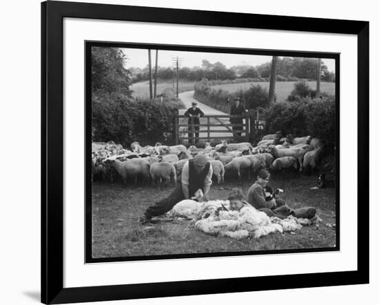 Shearing Sheep, Wales-Henry Grant-Framed Photographic Print