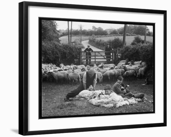 Shearing Sheep, Wales-Henry Grant-Framed Photographic Print