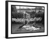 Shearing Sheep, Wales-Henry Grant-Framed Photographic Print