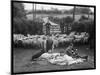 Shearing Sheep, Wales-Henry Grant-Mounted Photographic Print