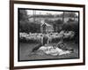 Shearing Sheep, Wales-Henry Grant-Framed Photographic Print