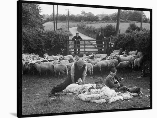 Shearing Sheep, Wales-Henry Grant-Stretched Canvas