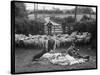 Shearing Sheep, Wales-Henry Grant-Stretched Canvas