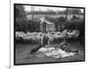 Shearing Sheep, Wales-Henry Grant-Framed Photographic Print