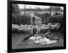 Shearing Sheep, Wales-Henry Grant-Framed Photographic Print