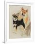 Sheba Inu-Barbara Keith-Framed Giclee Print