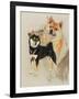 Sheba Inu-Barbara Keith-Framed Giclee Print