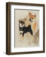 Sheba Inu-Barbara Keith-Framed Giclee Print