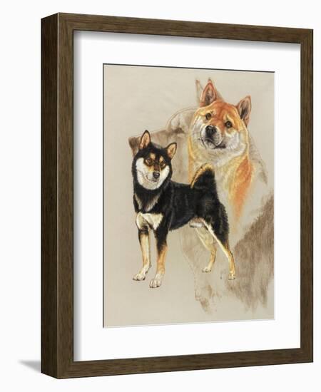 Sheba Inu-Barbara Keith-Framed Giclee Print