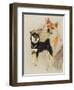 Sheba Inu-Barbara Keith-Framed Giclee Print