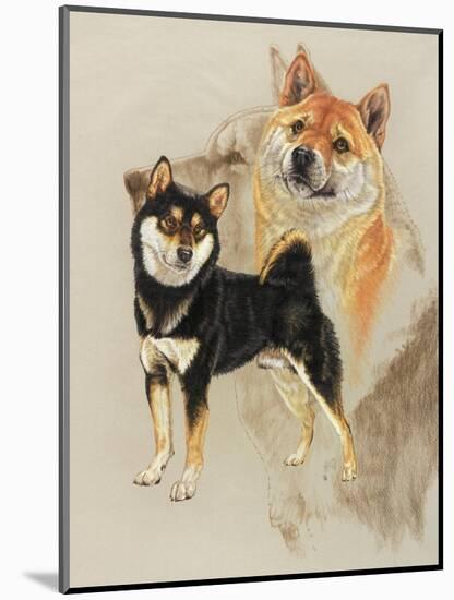 Sheba Inu-Barbara Keith-Mounted Giclee Print