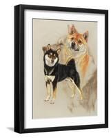 Sheba Inu-Barbara Keith-Framed Giclee Print