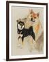 Sheba Inu-Barbara Keith-Framed Giclee Print