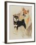 Sheba Inu-Barbara Keith-Framed Giclee Print