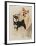 Sheba Inu-Barbara Keith-Framed Giclee Print