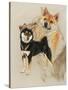 Sheba Inu-Barbara Keith-Stretched Canvas