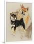 Sheba Inu-Barbara Keith-Framed Giclee Print