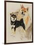 Sheba Inu-Barbara Keith-Framed Giclee Print