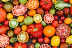 Colorful Tomatoes-Shebeko-Stretched Canvas