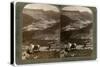 Shechem, South-West from Mount Ebal, Palestine, 1900s-Underwood & Underwood-Stretched Canvas