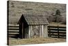 Shed and wheel, James Cant Ranch, John Day Fossil Beds, Oregon, USA-Michel Hersen-Stretched Canvas