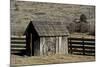 Shed and wheel, James Cant Ranch, John Day Fossil Beds, Oregon, USA-Michel Hersen-Mounted Photographic Print