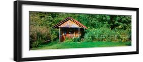 Shed in a garden, Poland-null-Framed Photographic Print