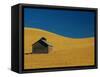 Shed in a Wheat Field-Darrell Gulin-Framed Stretched Canvas