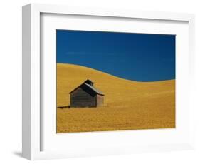 Shed in a Wheat Field-Darrell Gulin-Framed Photographic Print