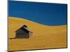 Shed in a Wheat Field-Darrell Gulin-Mounted Photographic Print