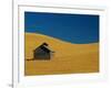 Shed in a Wheat Field-Darrell Gulin-Framed Photographic Print