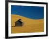 Shed in a Wheat Field-Darrell Gulin-Framed Photographic Print