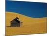 Shed in a Wheat Field-Darrell Gulin-Mounted Photographic Print