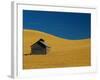 Shed in a Wheat Field-Darrell Gulin-Framed Photographic Print