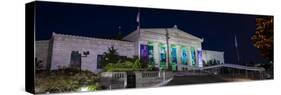 Shedd Aquarium Chicago Illinois-Steve Gadomski-Stretched Canvas