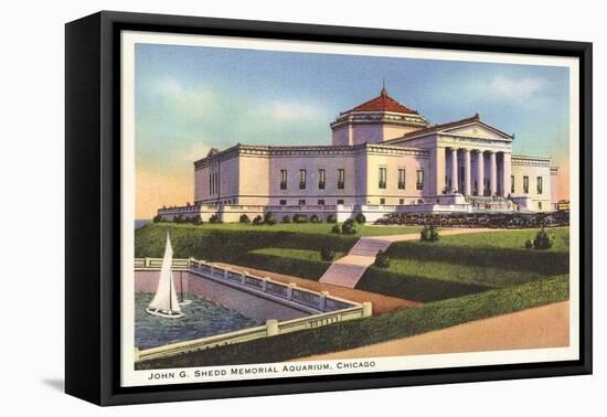 Shedd Aquarium, Chicago, Illinois-null-Framed Stretched Canvas