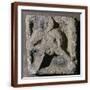 Brown Frame