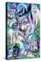 Sheena Pike - Daydream Galaxy Wolves-Trends International-Stretched Canvas