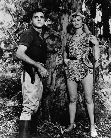 ジャングルの女王シーナ The Complete Stories of Sheena Queen