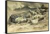 Sheep, 1868 (W/C on Paper)-Rosa Bonheur-Framed Stretched Canvas