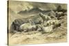 Sheep, 1868 (W/C on Paper)-Rosa Bonheur-Stretched Canvas