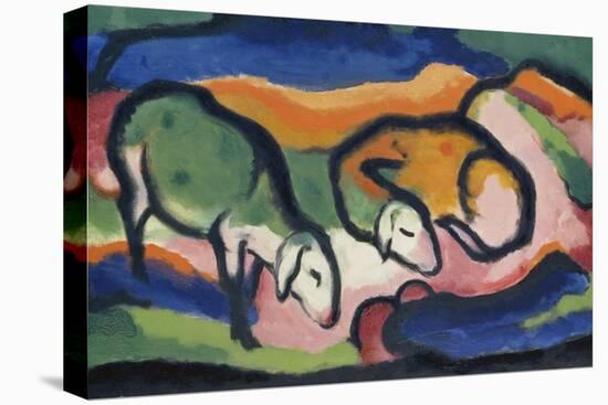 Sheep, 1912-Franz Marc-Stretched Canvas