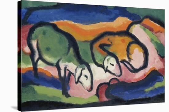 Sheep, 1912-Franz Marc-Stretched Canvas