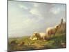 Sheep and Chickens in a Landscape, 19th Century-Eugene Joseph Verboeckhoven-Mounted Giclee Print