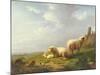 Sheep and Chickens in a Landscape, 19th Century-Eugene Joseph Verboeckhoven-Mounted Giclee Print