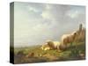 Sheep and Chickens in a Landscape, 19th Century-Eugene Joseph Verboeckhoven-Stretched Canvas