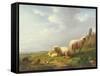 Sheep and Chickens in a Landscape, 19th Century-Eugene Joseph Verboeckhoven-Framed Stretched Canvas