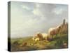 Sheep and Chickens in a Landscape, 19th Century-Eugene Joseph Verboeckhoven-Stretched Canvas