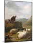 Sheep and Dogs, 1861-Eugene Joseph Verboeckhoven-Mounted Giclee Print