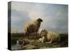 Sheep and Ducks in a Landscape-Leon Bakst-Stretched Canvas